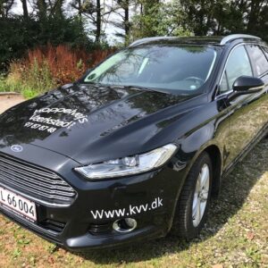 Lidt Større Personbil - 300 kr. Pr. Dag