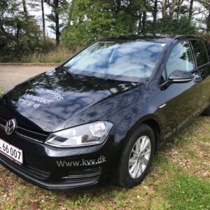 Lidt Større Personbil - 300 kr. Pr. Dag