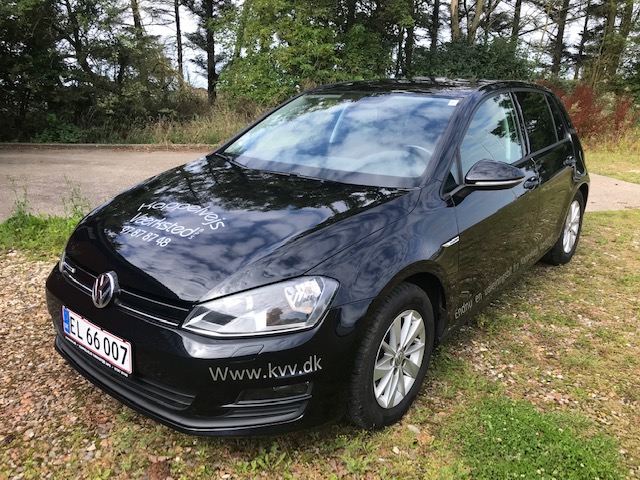 Lidt Større Personbil - 300 kr. Pr. Dag