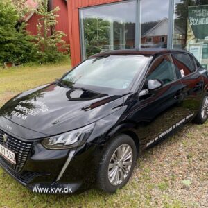 Lidt Større Personbil - 300 kr. Pr. Dag